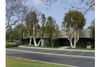 13240 Evening Creek Dr S photo